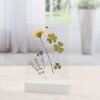 Hama Photo Holder Classic Acrylic 10 x 15 cm