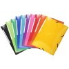 Exacompta Folder 3 Flaps Elasticated Maxi Capacity A4 Iderama