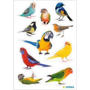 HERMA 15477 Sticker Birds Multicoloured Decorative bird...