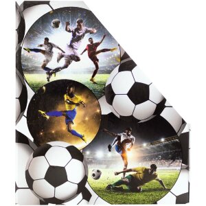 HERMA 19716 A4 cardboard file organiser football design grip hole