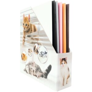 HERMA 19717 A4 cardboard magazine file cat design handle hole