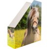 HERMA 19718 Magazine file A4 cardboard horse design handle hole