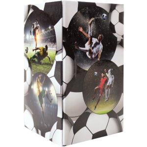 HERMA 19732 Pencil holder cardboard football design...