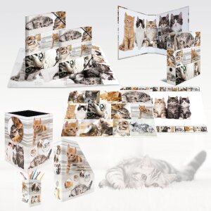 HERMA 19733 Pencil holder cat design cardboard 8x13.5cm