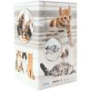 HERMA 19733 Pencil holder cat design cardboard 8x13.5cm