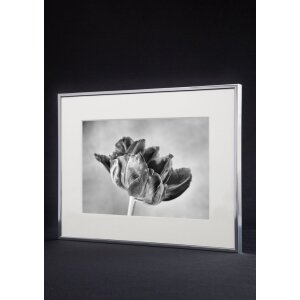 Nielsen Aluminium Frame Accent 59,4x84,1 cm silver matt