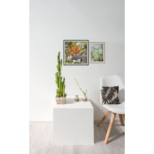 Nielsen Aluminium Frame Accent 42x59,4 cm silver matt