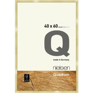 Nielsen Wooden Snap Frame Quadrum 40x60 cm gold