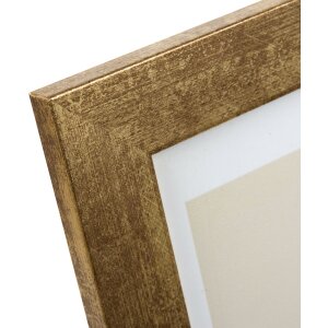 Goldbuch picture frame Ian gold 15x20 cm