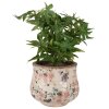 Clayre & Eef 6CE1612M Indoor Flower Pot Beige Pink Ø 18x15 cm