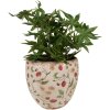 Clayre & Eef 6CE1634L Flower Pot for Indoors Beige Red Ø 18x18 cm