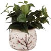 Clayre & Eef 6CE1642L Flower Pot for Indoors Beige Brown Ø 20x15 cm