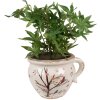 Clayre & Eef 6CE1646L Indoor Flower Pot Beige Brown 20x17x15 cm