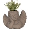 Clayre & Eef 6TE0401S Flower Pot for Indoors Angel Grey 23x13x17 cm