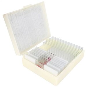 Cone Preparate Set Bacteria Simple Organisms 10 pcs.