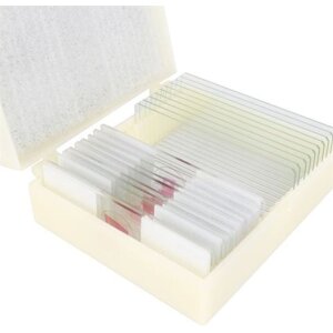 Cone Parasites Preparate Set 10 pcs. Microscopy accessories