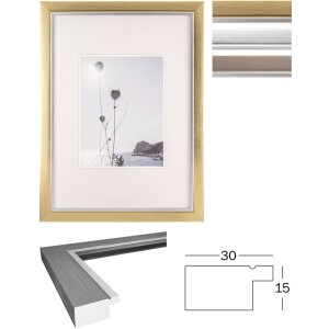 Walther picture frame Beyond 29.7x42 cm DIN A3 silver...