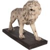 Clayre & Eef 5MG0030 Decoration Lion 55x23x40 cm Beige Brown