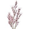 Clayre & Eef 5PL0058 Decoration Branch 6x6x72 cm Pink