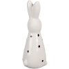 Clayre & Eef 6CE1705 Decoration Statue Rabbit 5x4x13 cm White Black