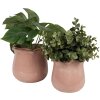 Clayre & Eef 6CE1714P Flower Pot Pink Ø 16x15 cm Ceramic Wavy Edge