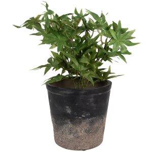 Clayre & Eef 6CE1719L Decoration Flower Pot Ø 17x16 cm Black Brown