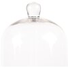 Clayre & Eef 6GL4485 Glass Bell Jar Transparent Brown Country Style Ø 15x21 cm