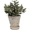 Clayre & Eef 6TE0503L Flowerpot Beige Ø 13x14 cm