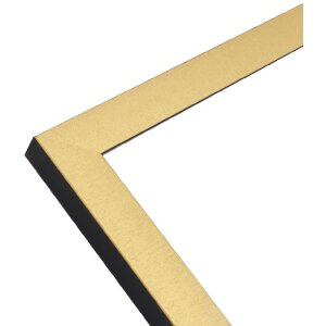 Deknudt S47EB2 picture frame gold colour black edge 10x15 cm