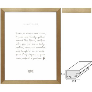 Deknudt S47BB2 picture frame gold/black edge 10x15 cm to...