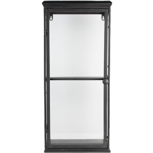 Display cabinet iron glass black 31x21x70 cm Wall shelf