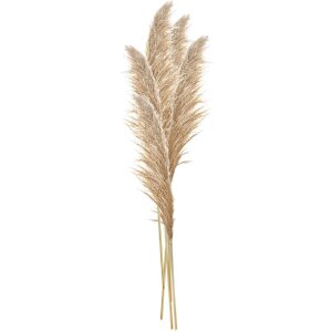 Clayre & Eef 5DF0044 Decorative Pampas Grass Natural...