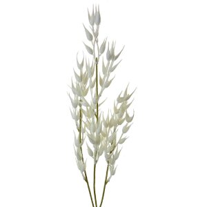 Clayre & Eef 5PL0060 Artificial Branch White 15x2x72 cm