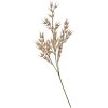 Clayre & Eef 5PL0061 Decorative branch Beige natural look 15x2x72 cm