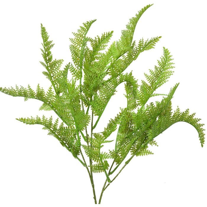 Clayre & Eef 5PL0081 Decorative branch artificial fern green 8x4x75 cm