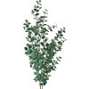 Clayre & Eef 5PL0084 Decorative branch green 8x3x70 cm