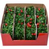 Clayre & Eef 65487 Christmas Garland Decoration 270 cm Set 12 Green Red