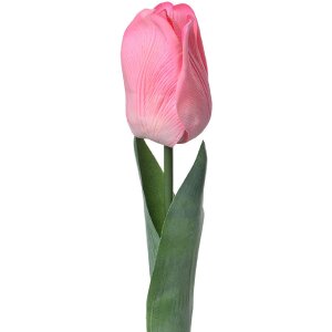 Clayre & Eef 6PL0236 Artificial Flower Tulip Pink...