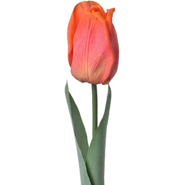 Clayre & Eef 6PL0237 Artificial Flower Tulip Orange 6x6x50 cm