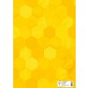 HERMA 20081 Booklet protector cardboard X A4 Yellow