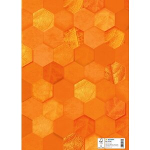 HERMA 20082 Booklet protector cardboard X A4 Orange