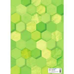 HERMA 20086 Booklet protector cardboard X A4 grass green