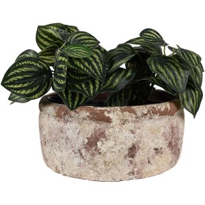 Clayre & Eef 6TE0529L Flower Pot Terracotta Beige Brown Ø 23x11 cm Country Style