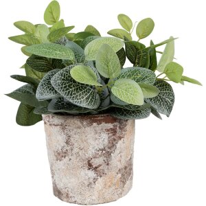 Clayre & Eef 6TE0523M Flower Pot Terracotta Beige Ø 18x15 cm Country Style