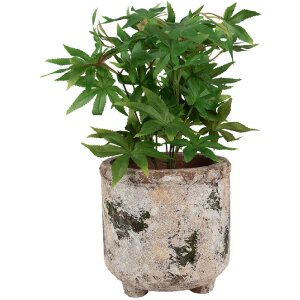 Clayre & Eef 6TE0525L Flower Pot Terracotta Beige...