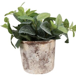 Clayre & Eef 6TE0526L Flower Pot Terracotta Beige Ø 16x14 cm Country Style