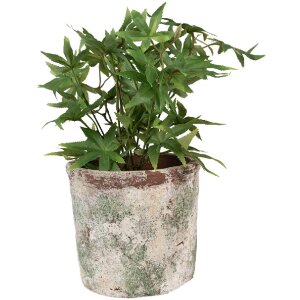 Clayre & Eef 6TE0526XL Flower Pot Terracotta Beige...