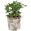 Clayre & Eef 6TE0526XL Flower Pot Terracotta Beige Ø 18x16 cm Country Style