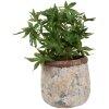 Clayre & Eef 6TE0527L Flower Pot Terracotta Beige Ø 18x17 cm Country Style