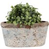 Clayre & Eef 6TE0528M Flower Pot Terracotta Beige Blue 19x11x10 cm Country Style